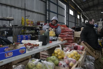 Mercado Concentrador: tres meses de actividad con buenos niveles de ventas Mercado Concentrador: tres meses de actividad con buenos niveles de ventas