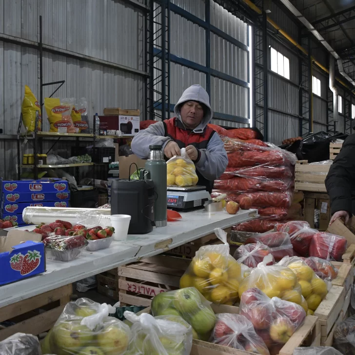 Mercado Concentrador: tres meses de actividad con buenos niveles de ventas Mercado Concentrador: tres meses de actividad con buenos niveles de ventas