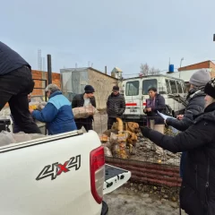 El Gobierno de Santa Cruz mantiene el operativo de asistencia en barrios afectados por el deshielo en Río Gallegos