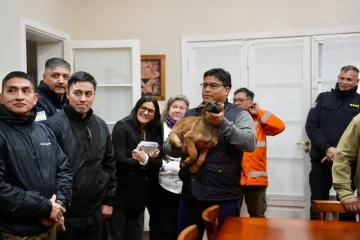 Incorporan cuatro perros de búsqueda y rescate para la Policía y Protección Civil Incorporan cuatro perros de búsqueda y rescate para la Policía y Protección Civil