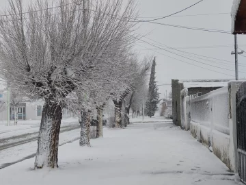 Se cortó la luz en Las Heras tras una abundante nevada Se cortó la luz en Las Heras tras una abundante nevada