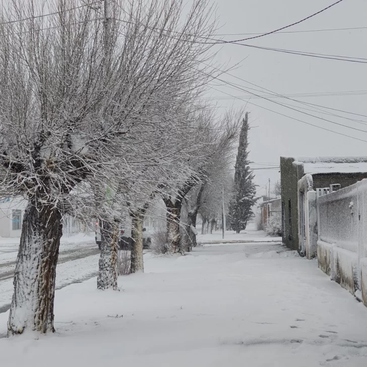 Se cortó la luz en Las Heras tras una abundante nevada Se cortó la luz en Las Heras tras una abundante nevada