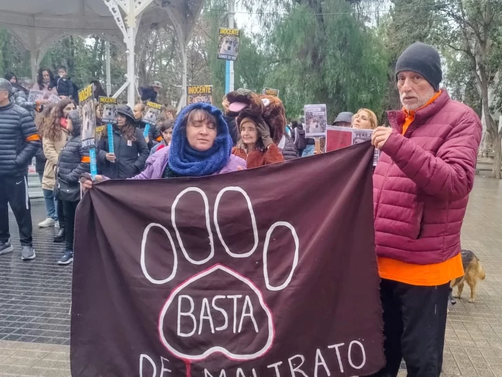 MARCHA-POR-PEREJIL-4-728x546 MARCHA-POR-PEREJIL-4-728x546