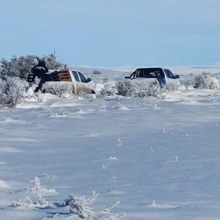 Vialidad Provincial rescató a una familia varada en medio de más de 40 centímetros de nieve Vialidad Provincial rescató a una familia varada en medio de más de 40 centímetros de nieve
