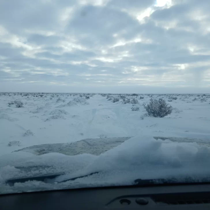 Frío extremo en Santa Cruz: pronostican hasta -20 °C, nevadas y baja visibilidad Frío extremo en Santa Cruz: pronostican hasta -20 °C, nevadas y baja visibilidad