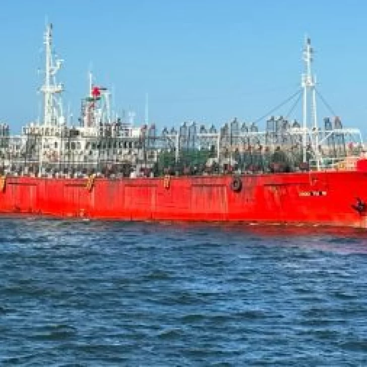 Consejo Federal Pesquero: Santa Cruz apoyó la licitación de 18 permisos de pesca para el calamar Consejo Federal Pesquero: Santa Cruz apoyó la licitación de 18 permisos de pesca para el calamar