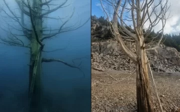 El embalse Amutui Quimey quedó 20 metros por debajo de su nivel: “El cambio climático es innegable” El embalse Amutui Quimey quedó 20 metros por debajo de su nivel: “El cambio climático es innegable”