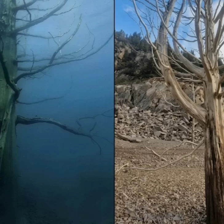 El embalse Amutui Quimey quedó 20 metros por debajo de su nivel: “El cambio climático es innegable” El embalse Amutui Quimey quedó 20 metros por debajo de su nivel: “El cambio climático es innegable”