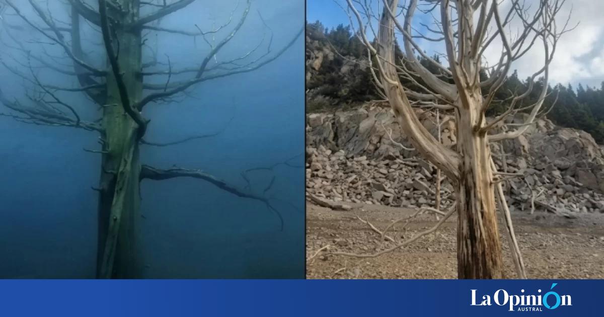 El embalse Amutui Quimey quedó 20 metros por debajo de su nivel: El cambio climático es innegable
