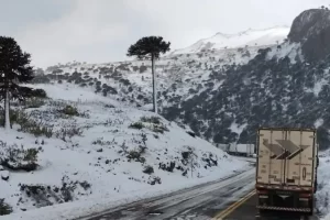 Tragedia en el temporal de nieve: murió un camionero brasileño mientras esperaba cruzar la frontera a Chile por Pino Hachado