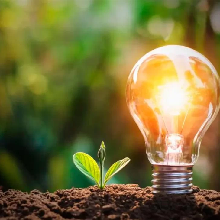 Abrieron las inscripciones para la Olimpíada de Energía y Ambiente 2026: qué premios entrega Abrieron las inscripciones para la Olimpíada de Energía y Ambiente 2026: qué premios entrega