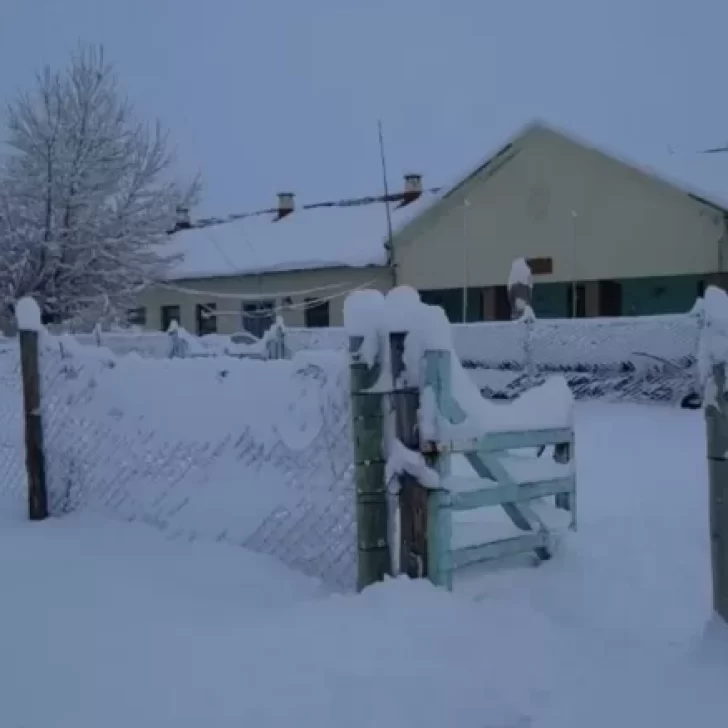 Suspendieron el reinicio de clases en Santa Cruz por el frío, la nieve y el mal tiempo Suspendieron el reinicio de clases en Santa Cruz por el frío, la nieve y el mal tiempo