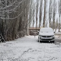 Cómo estará el clima en Santa Cruz para el fin de semana: anticipan nevadas, lluvias