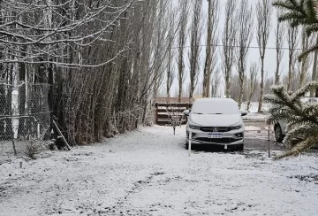 Cómo estará el clima en Santa Cruz para el fin de semana: anticipan nevadas, lluvias Cómo estará el clima en Santa Cruz para el fin de semana: anticipan nevadas, lluvias