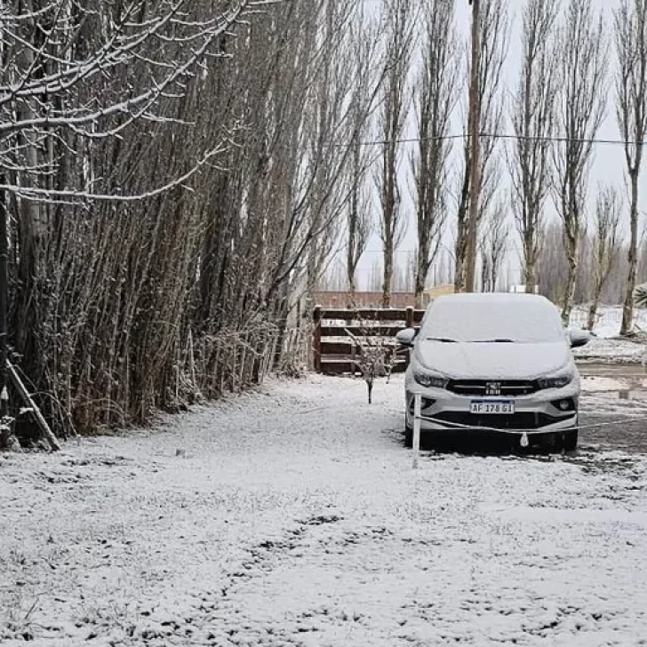 Cómo estará el clima en Santa Cruz para el fin de semana: anticipan nevadas, lluvias Cómo estará el clima en Santa Cruz para el fin de semana: anticipan nevadas, lluvias