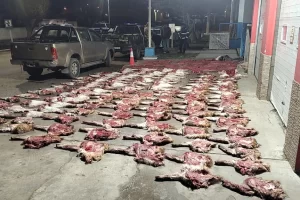 Secuestran más de 190 cortes de guanacos, fauna silvestre y dos armas en un operativo rural
