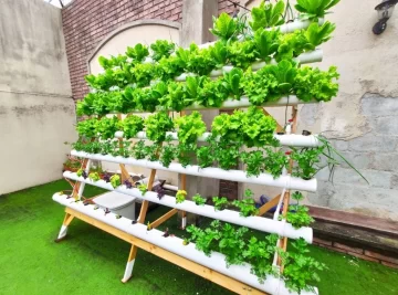 Por qué consideran a la hidroponía como una alternativa para producir verduras frescas todo el año en Santa Cruz Por qué consideran a la hidroponía como una alternativa para producir verduras frescas todo el año en Santa Cruz