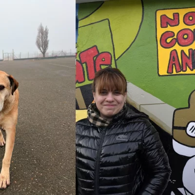 “Cabezón” encontró hogar: después de tres años de espera, uno de los perros del corralón fue adoptado