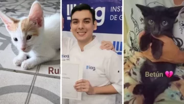 “El asesino de gatitos”: estrenarán documental sobre el santacruceño denunciado por torturar y matar gatos “El asesino de gatitos”: estrenarán documental sobre el santacruceño denunciado por torturar y matar gatos