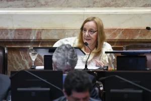 Alicia Kirchner: “Esta ley refleja un desprecio hacia los sectores más vulnerables” Alicia Kirchner: “Esta ley refleja un desprecio hacia los sectores más vulnerables”