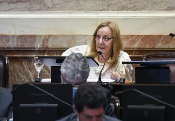Alicia Kirchner: “Esta ley refleja un desprecio hacia los sectores más vulnerables” Alicia Kirchner: “Esta ley refleja un desprecio hacia los sectores más vulnerables”