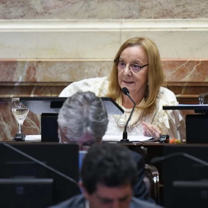 Alicia Kirchner: “Esta ley refleja un desprecio hacia los sectores más vulnerables” Alicia Kirchner: “Esta ley refleja un desprecio hacia los sectores más vulnerables”