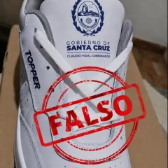 El Consejo Provincial de Educación desmintió la fake news sobre el logo del Gobierno en las zapatillas escolares