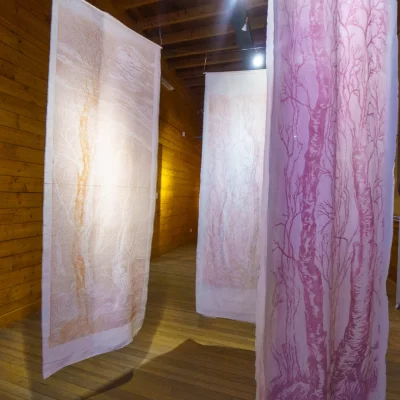 Inauguró “Lo que podría ser mi bosque” de Pizarro Mackenzie Inauguró “Lo que podría ser mi bosque” de Pizarro Mackenzie