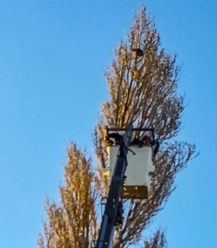 Bomberos rescataron a un gato atrapado a 22 metros de altura en Gobernador Gregores Bomberos rescataron a un gato atrapado a 22 metros de altura en Gobernador Gregores