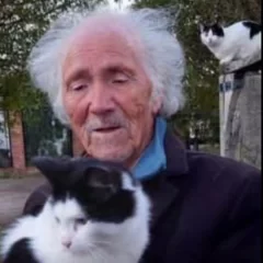 Las gatitas de Alfredo Morales Roa, el jubilado buscado en Río Gallegos, también esperan por él