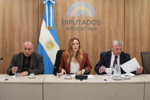 Diputados debate sobre tierras raras: cómo incluirlas en el Código de Minería y diseñar un régimen de promoción Diputados debate sobre tierras raras: cómo incluirlas en el Código de Minería y diseñar un régimen de promoción