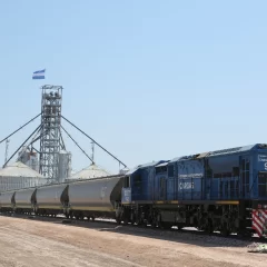 Argentina puso a la venta Belgrano Cargas, la empresa ferroviaria clave para transportar commodities a los puertos para la exportación