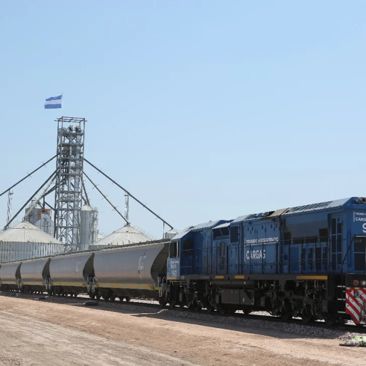 Argentina puso a la venta Belgrano Cargas, la empresa ferroviaria clave para transportar commodities a los puertos para la exportación Argentina puso a la venta Belgrano Cargas, la empresa ferroviaria clave para transportar commodities a los puertos para la exportación