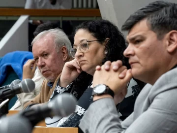 Diputados aprobaron el programa integral de psicoprofilaxis y bienestar docente Diputados aprobaron el programa integral de psicoprofilaxis y bienestar docente