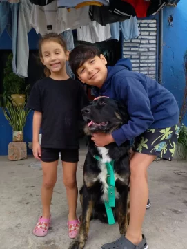 Se logró: “Capitán” se reencontró con su familia en Formosa gracias a la ayuda de vecinos de Río Gallegos Se logró: “Capitán” se reencontró con su familia en Formosa gracias a la ayuda de vecinos de Río Gallegos