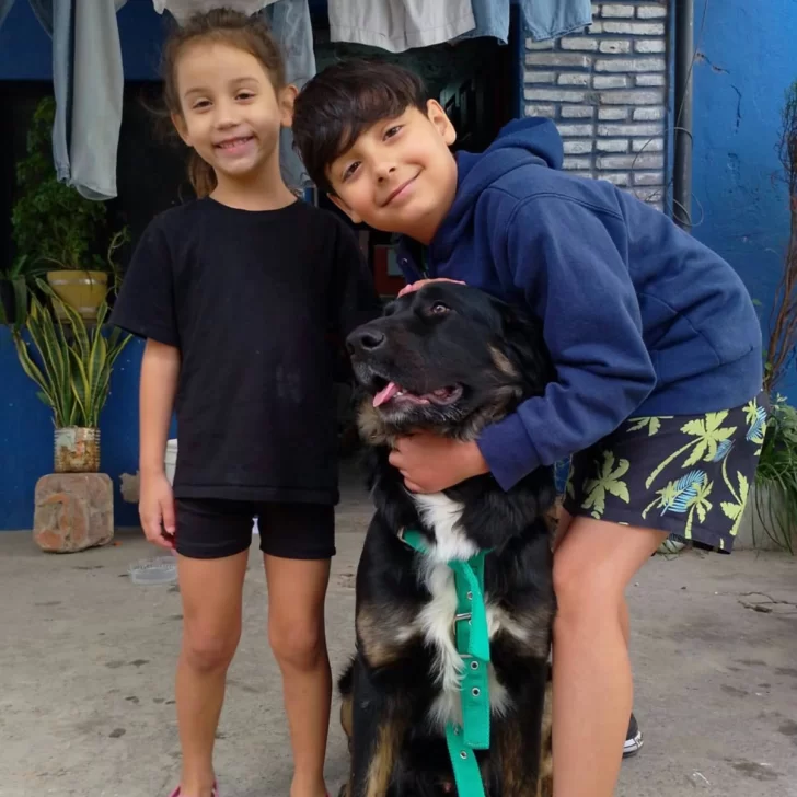 Se logró: “Capitán” se reencontró con su familia en Formosa gracias a la ayuda de vecinos de Río Gallegos Se logró: “Capitán” se reencontró con su familia en Formosa gracias a la ayuda de vecinos de Río Gallegos