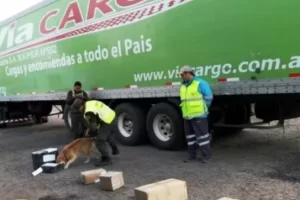 Detuvieron a una mujer que intentó retirar una encomienda con varios kilos de marihuana