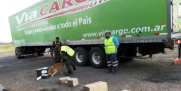 Detuvieron a una mujer que intentó retirar una encomienda con varios kilos de marihuana Detuvieron a una mujer que intentó retirar una encomienda con varios kilos de marihuana