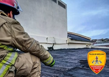 Caleta Olivia: bomberos rescataron a un gato que estaba atrapado en el techo de una escuela Caleta Olivia: bomberos rescataron a un gato que estaba atrapado en el techo de una escuela