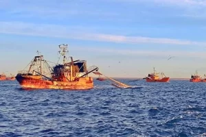 Pesca cerró subáreas en zona norte de Santa Cruz por elevada captura incidental de merluza juvenil Pesca cerró subáreas en zona norte de Santa Cruz por elevada captura incidental de merluza juvenil