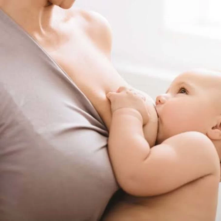 Lactancia materna y primeros auxilios: el Hospital Modular prepara una jornada para madres y familias Lactancia materna y primeros auxilios: el Hospital Modular prepara una jornada para madres y familias