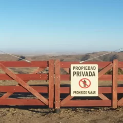Santa Cruz avanza en una ley propia: buscan limitar la extranjerización de tierras y proteger áreas estratégicas