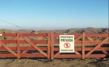 Santa Cruz avanza en una ley propia: buscan limitar la extranjerización de tierras y proteger áreas estratégicas Santa Cruz avanza en una ley propia: buscan limitar la extranjerización de tierras y proteger áreas estratégicas
