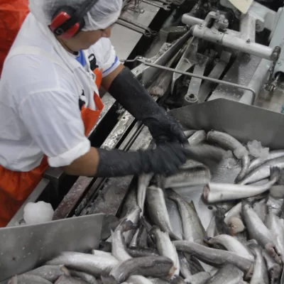 Pesca, entre las exportaciones agroindustriales a Europa que más crecieron