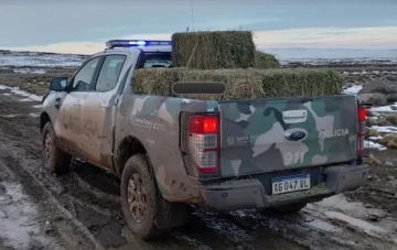 Efectivos policiales asistieron a trabajadores y pobladores rurales del interior de Santa Cruz Efectivos policiales asistieron a trabajadores y pobladores rurales del interior de Santa Cruz
