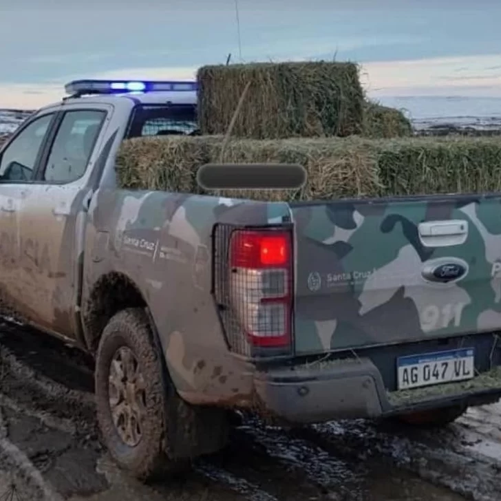 Efectivos policiales asistieron a trabajadores y pobladores rurales del interior de Santa Cruz Efectivos policiales asistieron a trabajadores y pobladores rurales del interior de Santa Cruz
