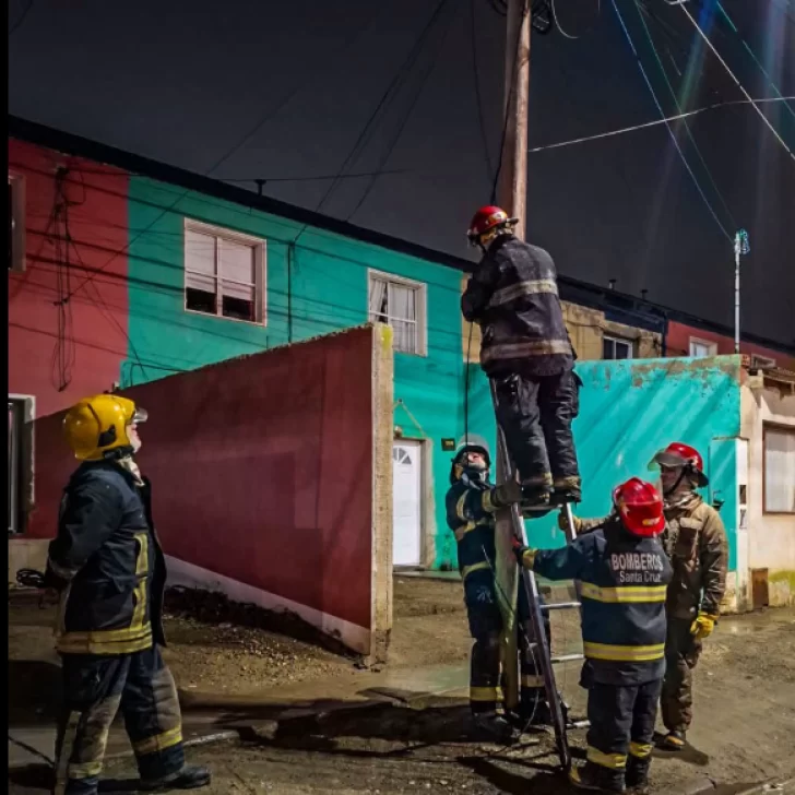 Río Gallegos: Bomberos realizaron una intervención preventiva por cables energizados en la vía pública Río Gallegos: Bomberos realizaron una intervención preventiva por cables energizados en la vía pública