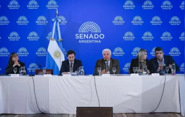 El Senado inicia el debate del Súper RIGI: qué inversiones busca atraer el Gobierno El Senado inicia el debate del Súper RIGI: qué inversiones busca atraer el Gobierno
