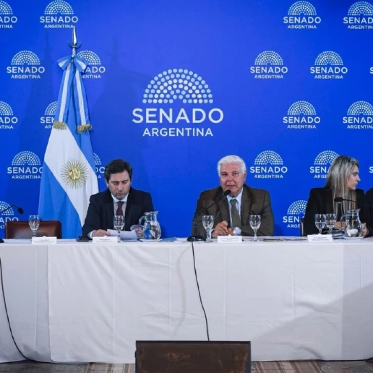 El Senado inicia el debate del Súper RIGI: qué inversiones busca atraer el Gobierno El Senado inicia el debate del Súper RIGI: qué inversiones busca atraer el Gobierno