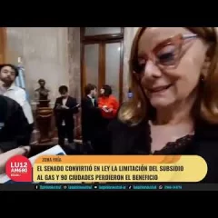 Aprobaron cambios en la Ley de Zona Fría: el impacto en las facturas de gas en la Patagonia
